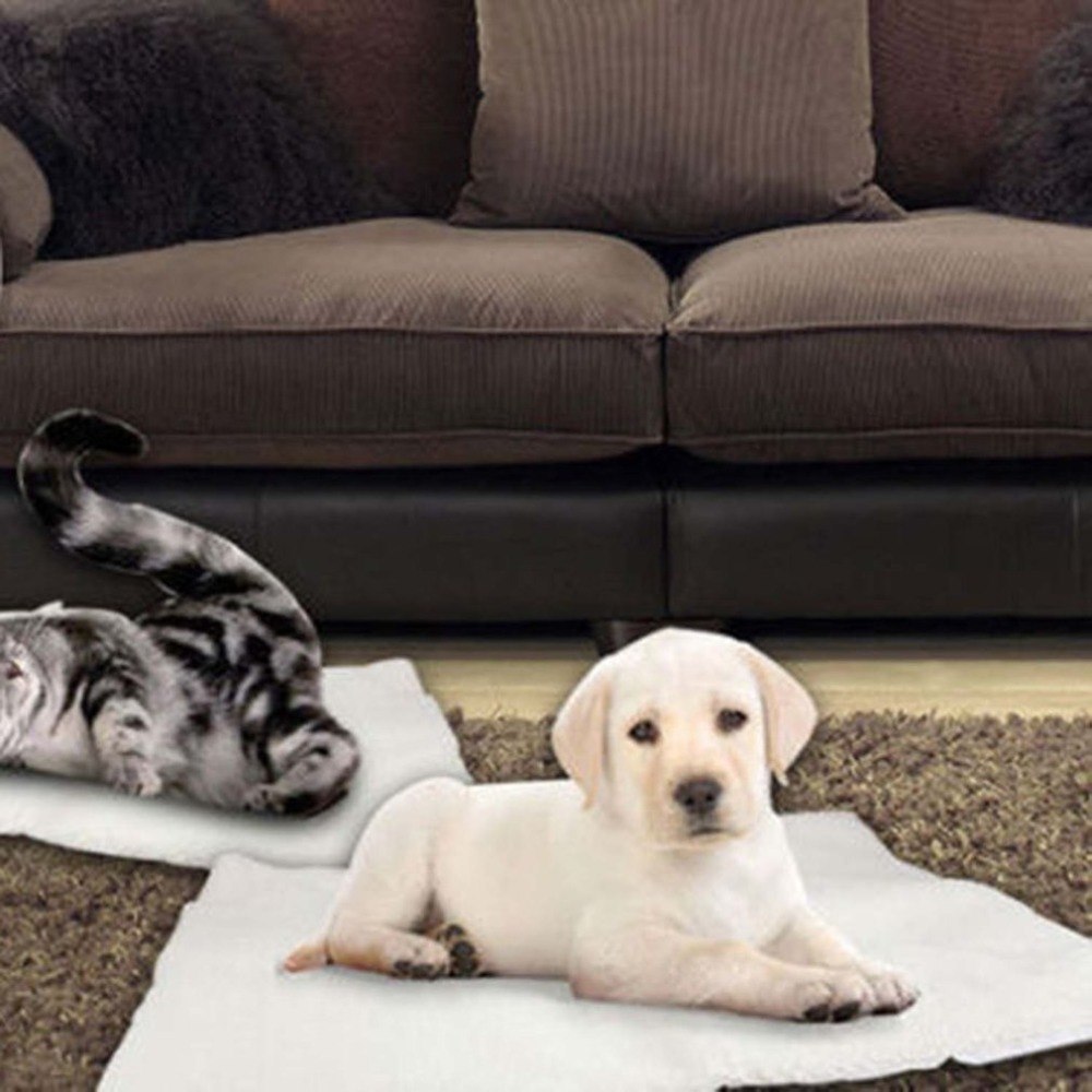 Cozy Pet Collection | Self-Heating Dog & Cat Blanket with Soft Faux Lambswool | Comfortable Thermal Mat for Warmth and Relaxation 2