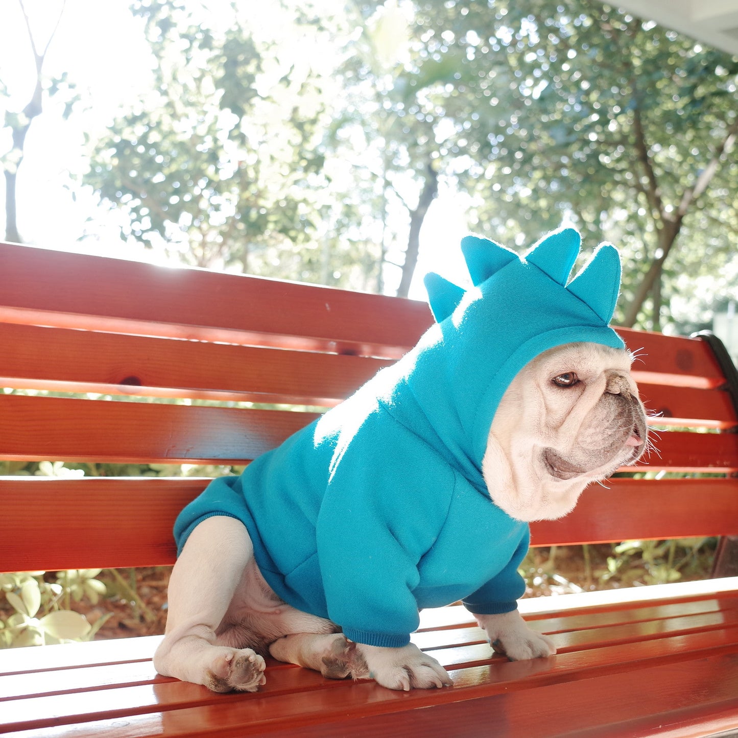 Cozy Pet Hoodie | Fleece Sweater for Dogs with Solid Color Design | Comfortable Apparel for All Seasons 4