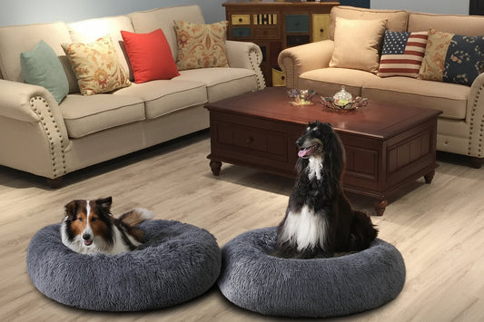 Cozy Pet Haven | Large Dog Bed with Washable Plush Cushion | Soft Design for Ultimate Comfort