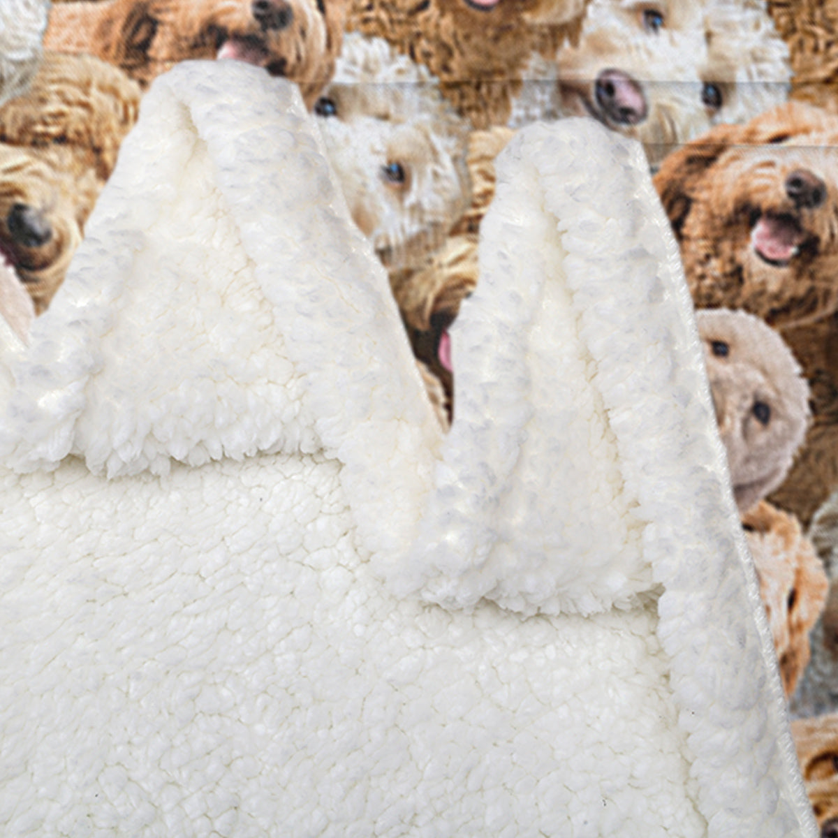 Cozy Collection | Soft Sherpa Fleece Blanket with Durable Hemmed Edges | Generous Sizes for Ultimate Comfort and Warmth 2