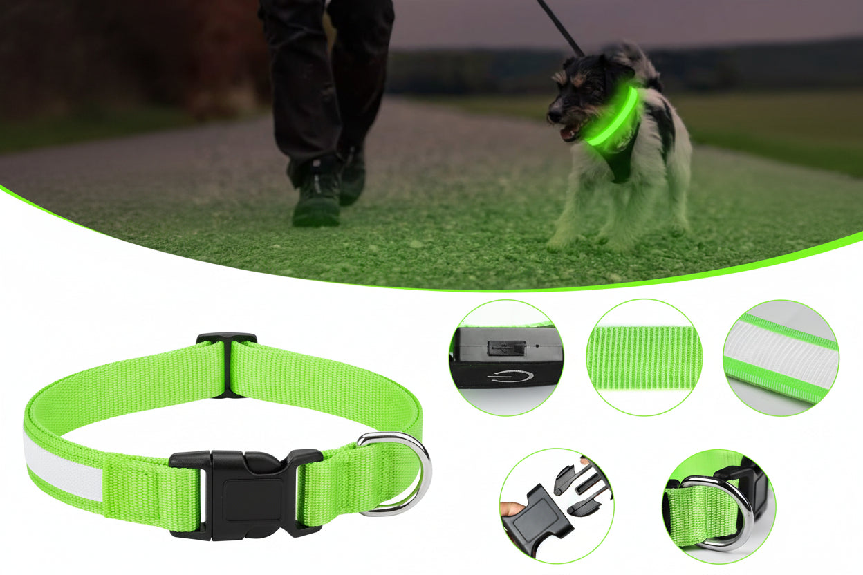 Illuminated Pet Collar | LED Dog Collar with 3 Flash Modes & USB Rechargeable | High Visibility for Night Safety 4