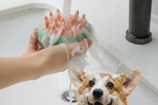 Pet Grooming Brush | Dog Brush with Soft Silicone for Easy Bathing and Massage 1