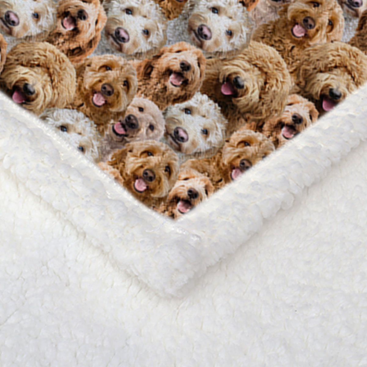 Cozy Collection | Soft Sherpa Fleece Blanket with Durable Hemmed Edges | Generous Sizes for Ultimate Comfort and Warmth 5