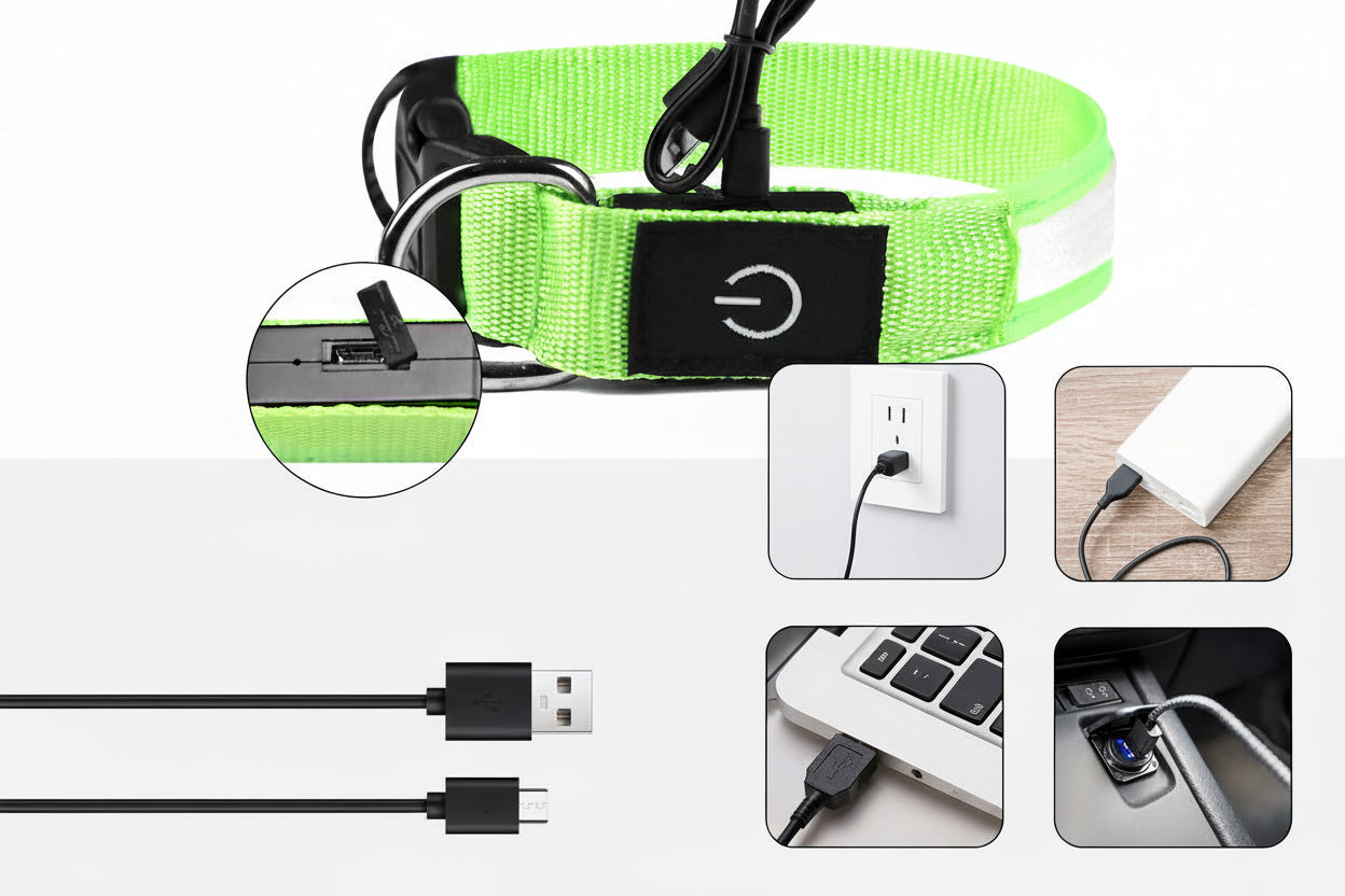Illuminated Pet Collar | LED Dog Collar with 3 Flash Modes & USB Rechargeable | High Visibility for Night Safety 2