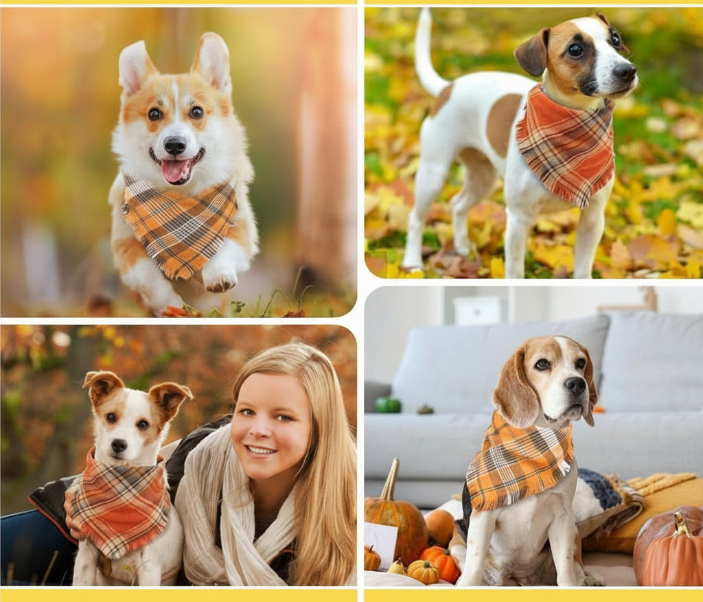 Autumn Pet Collection | Classic Plaid Dog Bandana with Tassel Edges | Stylish Accessory for Fall Festivities 4