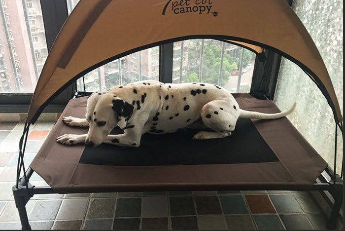 Comfort Haven | Large Dog Bed with Moisture-Proof Removable Cover | Breathable Oxford Cloth for Ultimate Comfort 2