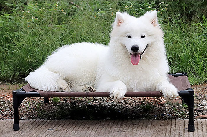 Comfort Haven | Large Dog Bed with Moisture-Proof Removable Cover | Breathable Oxford Cloth for Ultimate Comfort 6