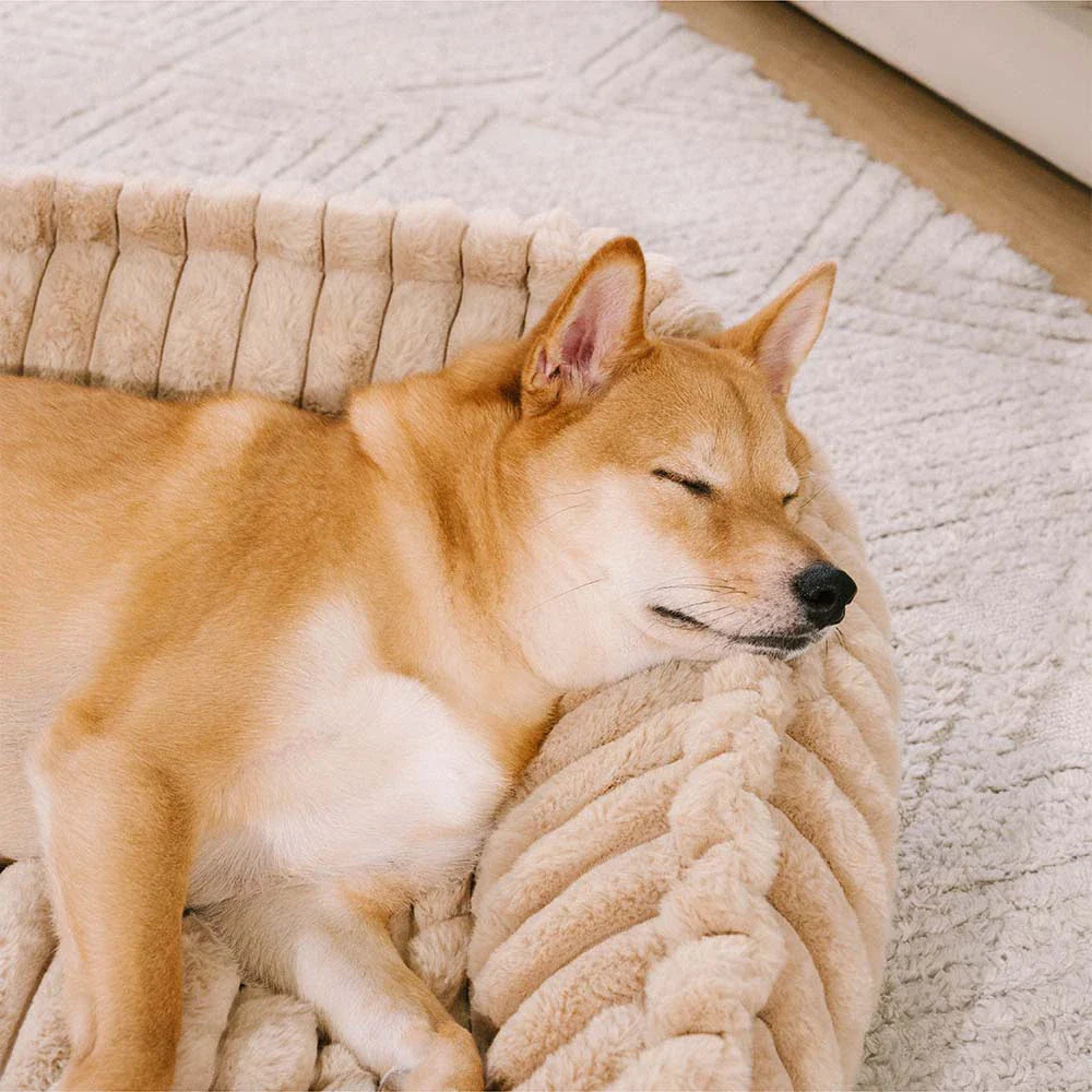 CozySlope | Orthopedic Dog Bed with Gentle Ramp & Removable Cover | Joint-Friendly Comfort for Senior Dogs 3