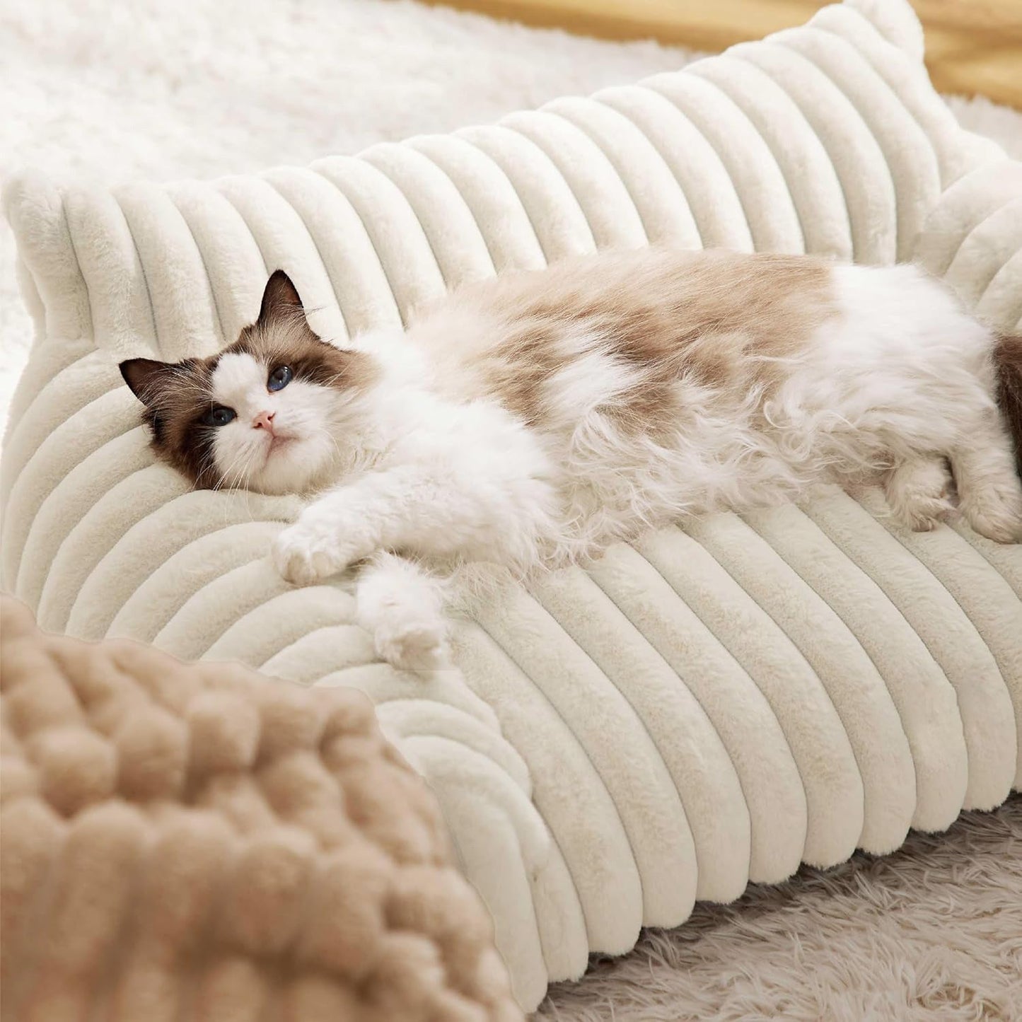 Cozy Cat Couch Bed with Three-Sided Design for Ultimate Comfort 3