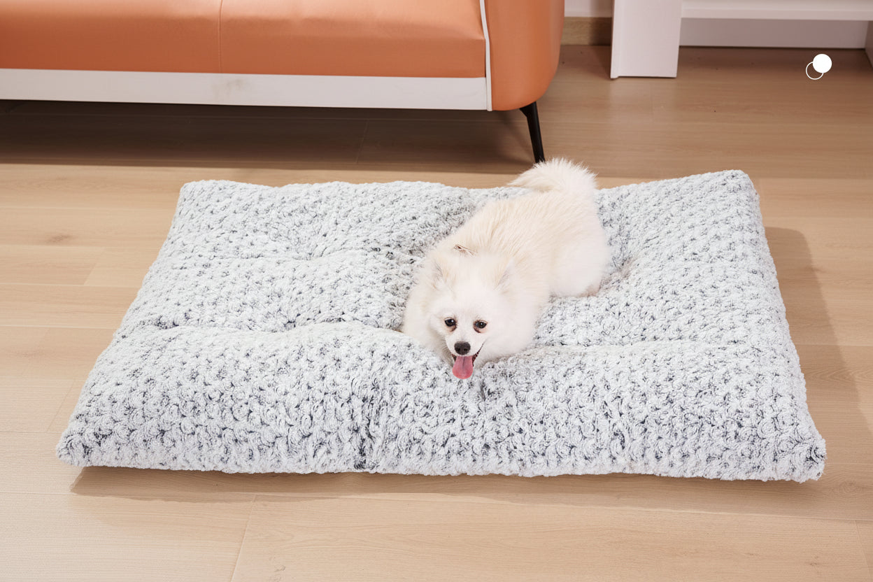 Cozy Haven | Thickened Velvet Dog Bed with Soft Fluffy Design | Washable Mat for Ultimate Comfort 3