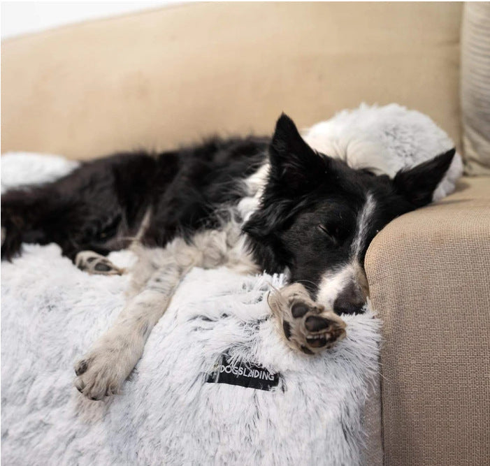 Cozy Pet Bed | Soft Washable Dog Bed with Removable Cover | Comfortable Cushion for Cats and Large Dogs 6