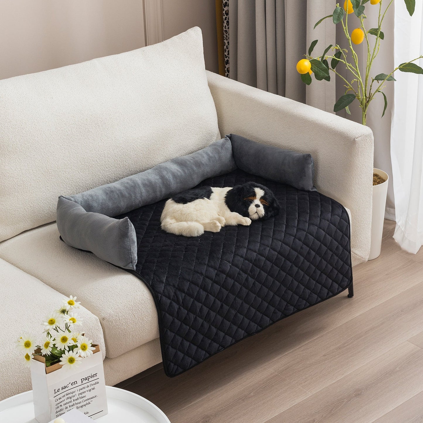 Cozy Pet Collection | Plush Dog Bed with Removable Cushion | Curved Design for Ultimate Comfort 5