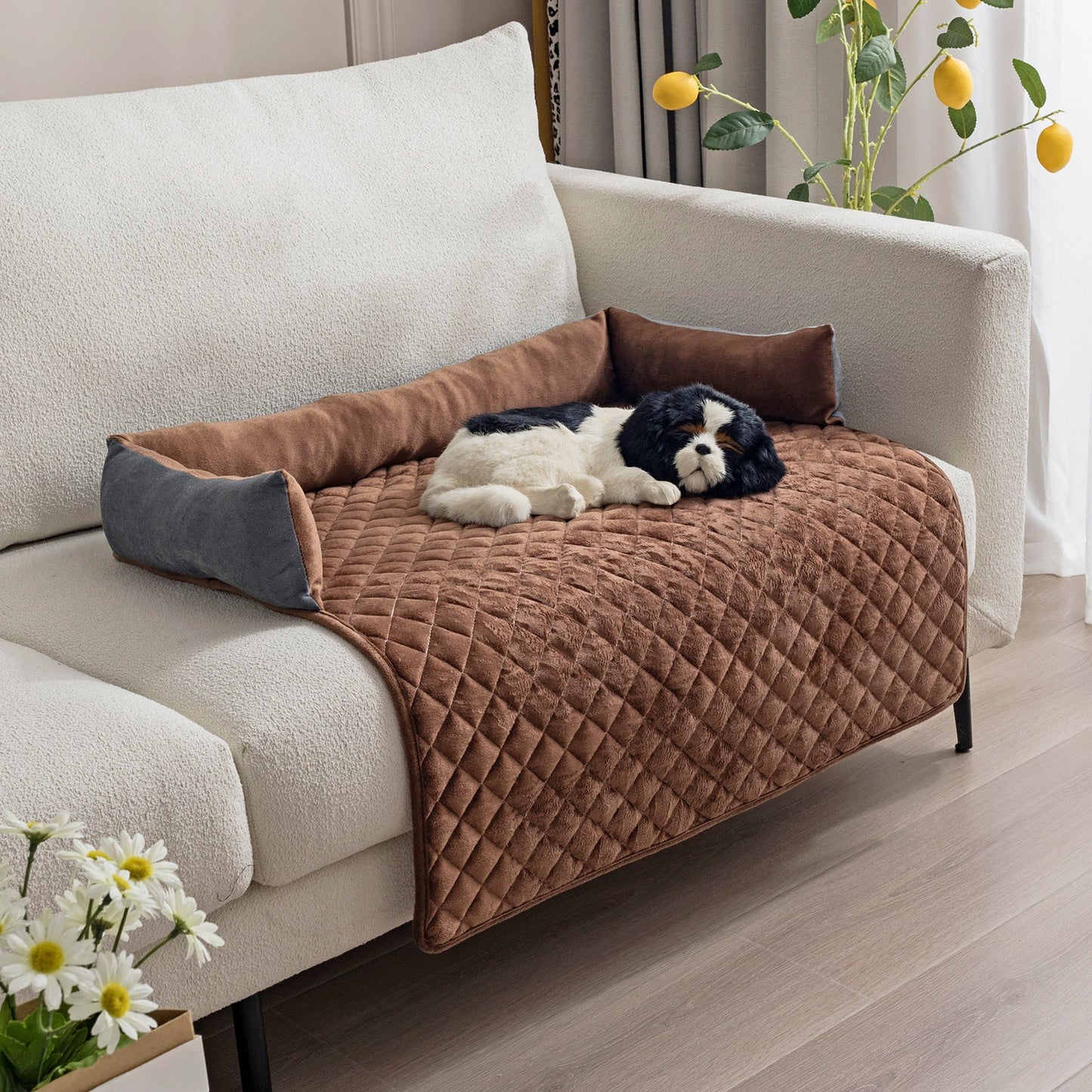 Cozy Pet Collection | Plush Dog Bed with Removable Cushion | Curved Design for Ultimate Comfort 6