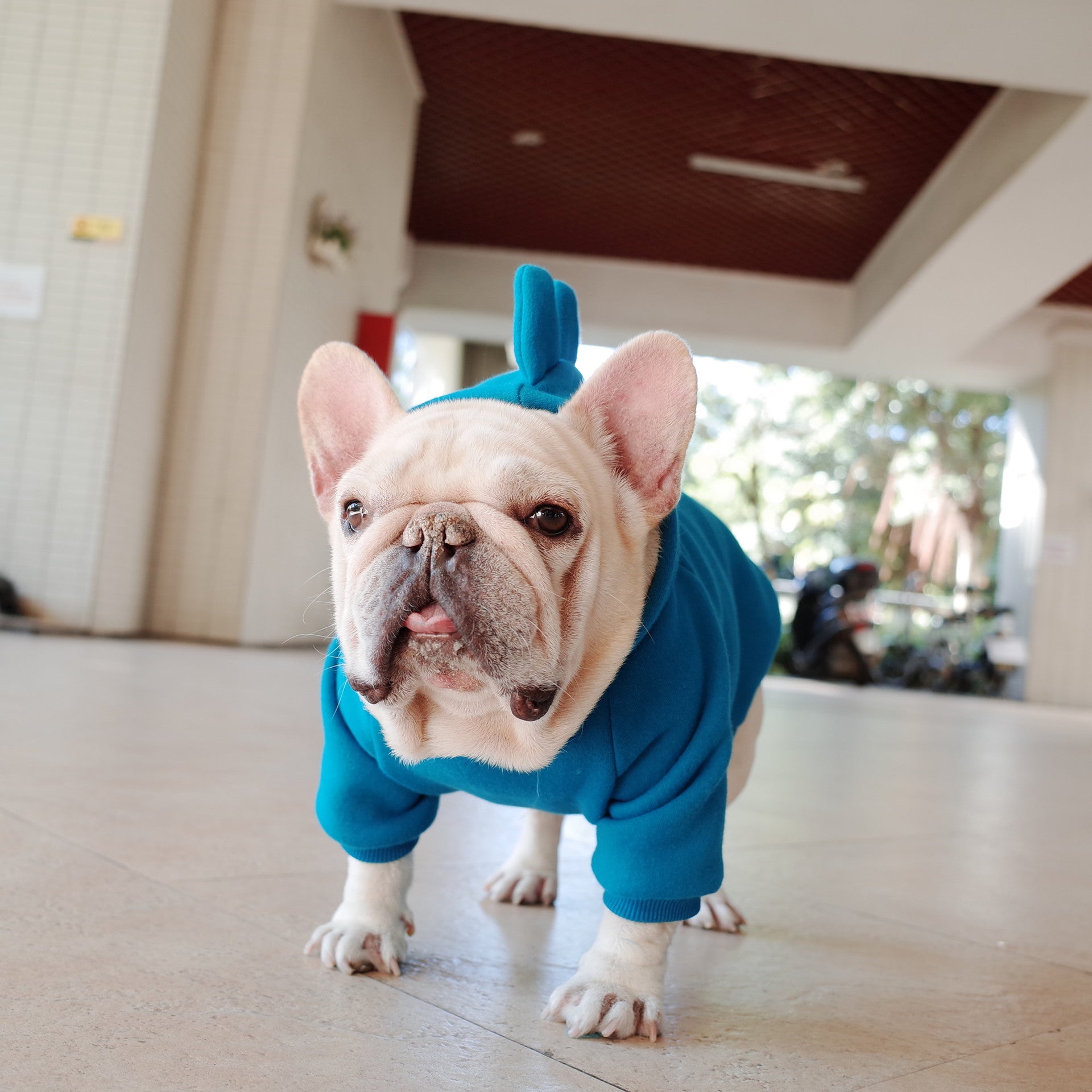Cozy Pet Hoodie | Fleece Sweater for Dogs with Solid Color Design | Comfortable Apparel for All Seasons 2