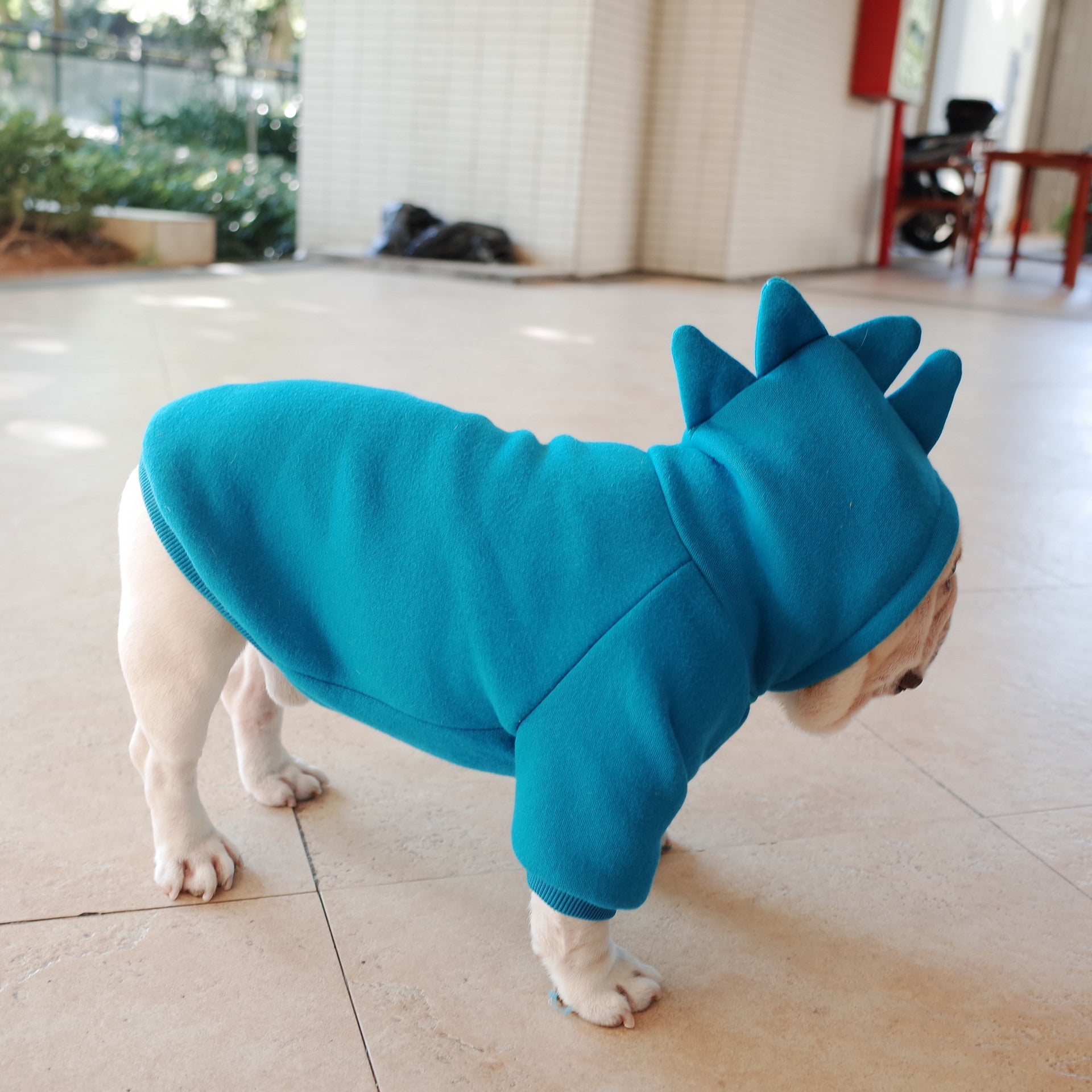 Cozy Pet Hoodie | Fleece Sweater for Dogs with Solid Color Design | Comfortable Apparel for All Seasons 3