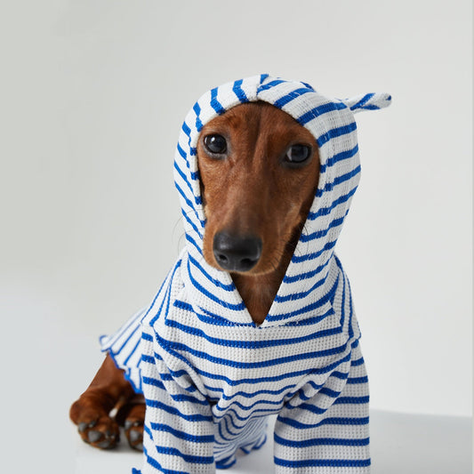 Pawfect Style | Striped Hooded Pet Apparel for Cats & Dogs | Cozy Two-Leg Design for Comfort 0