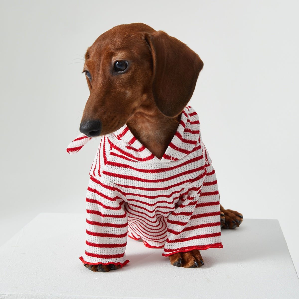 Pawfect Style | Striped Hooded Pet Apparel for Cats & Dogs | Cozy Two-Leg Design for Comfort 2