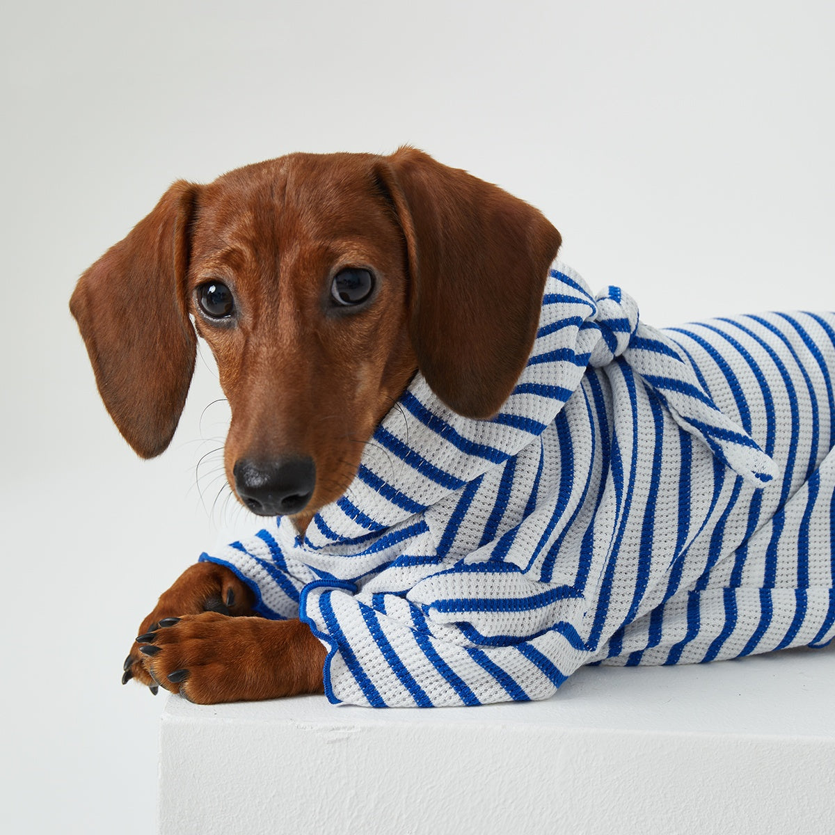 Pawfect Style | Striped Hooded Pet Apparel for Cats & Dogs | Cozy Two-Leg Design for Comfort 3