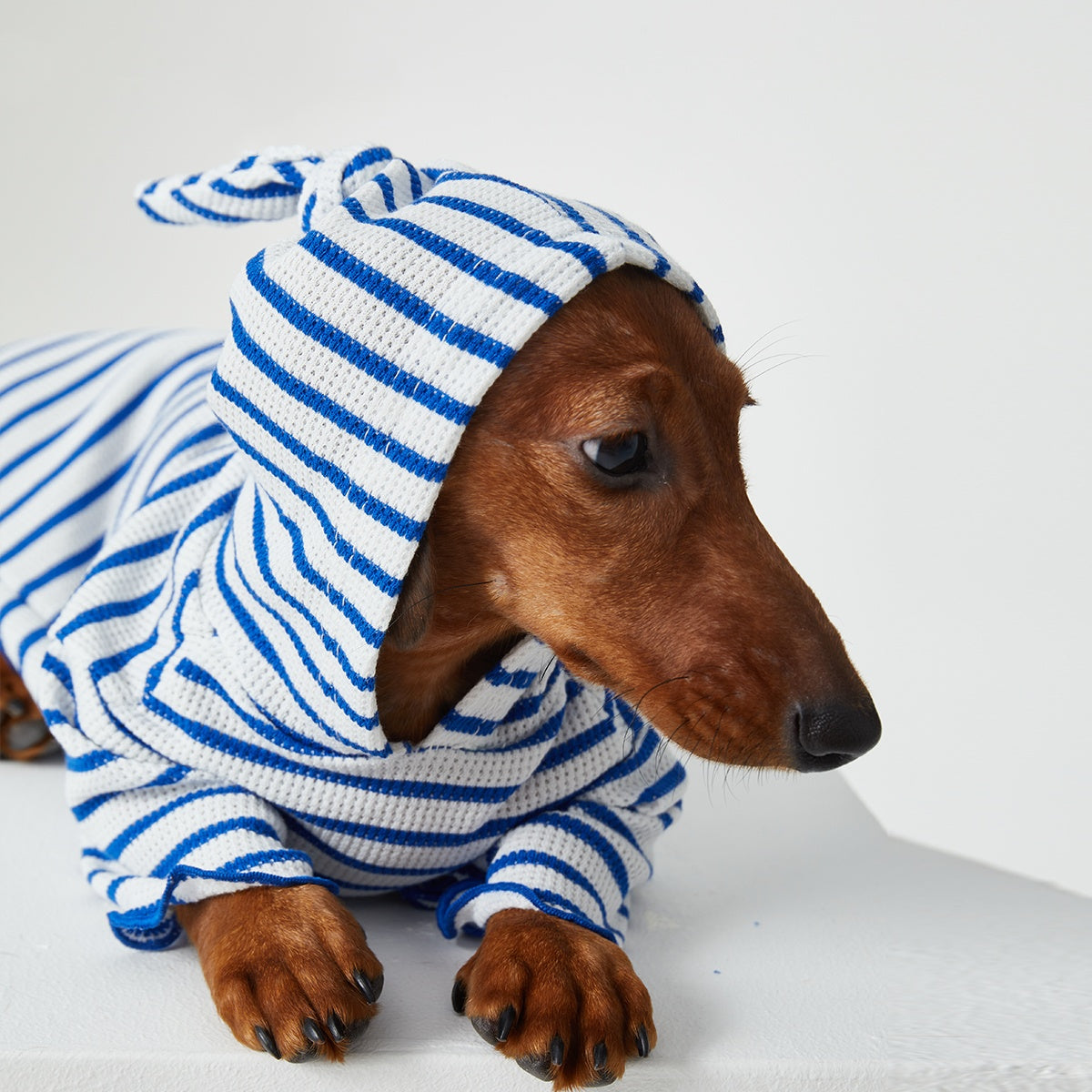 Pawfect Style | Striped Hooded Pet Apparel for Cats & Dogs | Cozy Two-Leg Design for Comfort 4