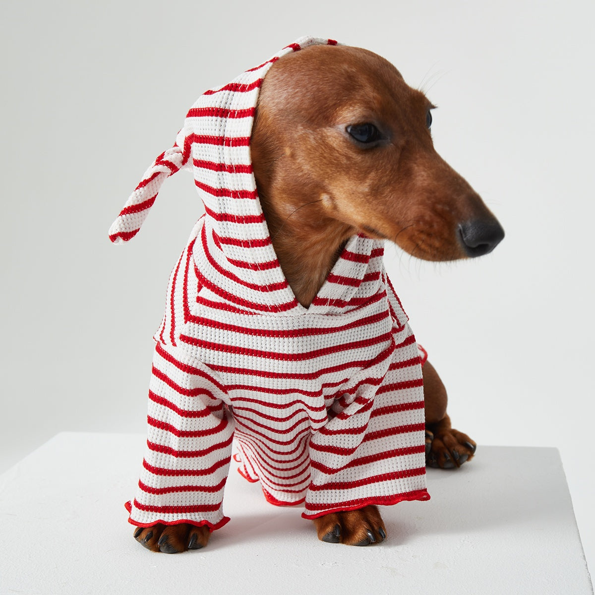 Pawfect Style | Striped Hooded Pet Apparel for Cats & Dogs | Cozy Two-Leg Design for Comfort 5