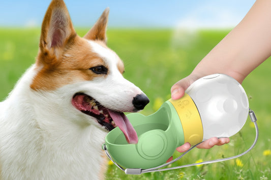 Portable Dog Water Bottle | Leak-Proof 2-in-1 Design for Safe Hydration on the Go 1
