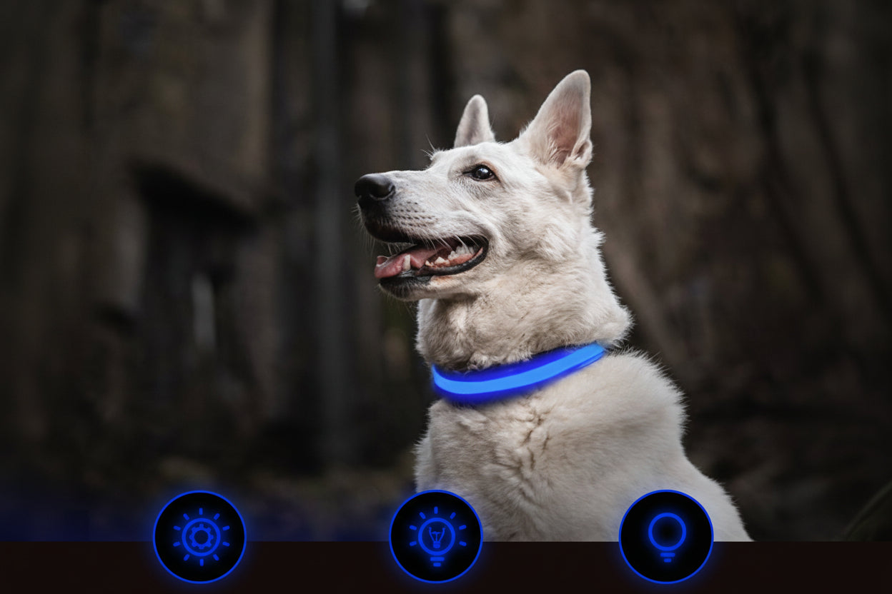 Illuminated Pet Collar | LED Dog Collar with 3 Flash Modes & USB Rechargeable | High Visibility for Night Safety 3