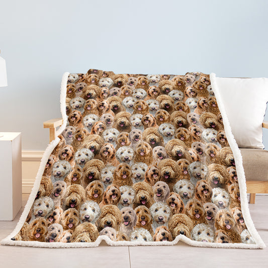 Cozy Collection | Soft Sherpa Fleece Blanket with Durable Hemmed Edges | Generous Sizes for Ultimate Comfort and Warmth 1